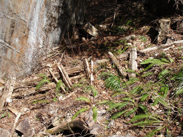 ��������X�ѓS�� �ѓS �p���� �M���򋴗� �؍މ^���O���� �n�V�S �c�[