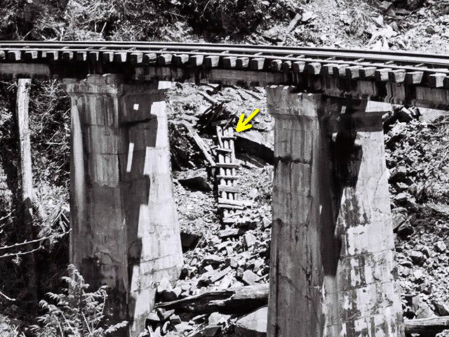 ��������X�ѓS�� �ѓS �n�V�S �M���򋴗� ���ꑺ ����c�я� �؍މ^���O��