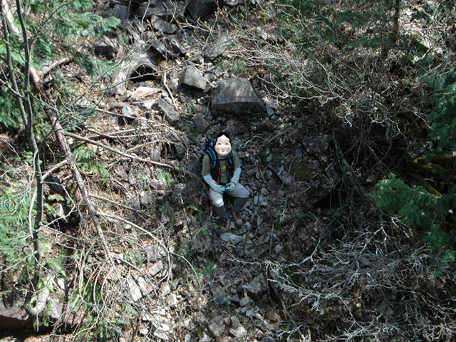 �ؑ]�X�ѓS����������� �ѓS �p���� �M���򋴗� �l�� ���ꑺ �i���[�O����