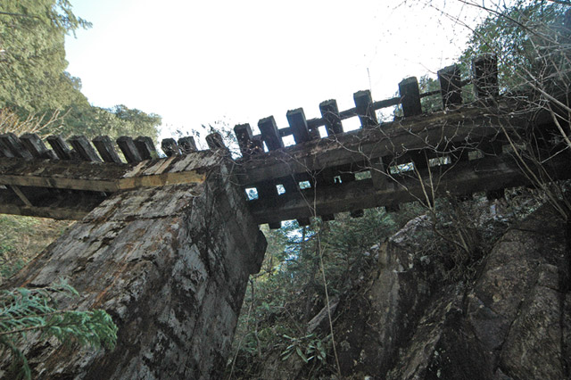 �ؑ]�X�ѓS����������� �ѓS �p���� �M���򋴗� �包 PC�� �؍މ^���O����