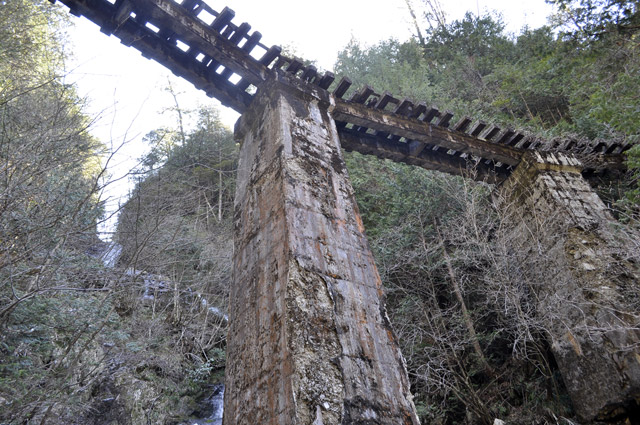 ��������X�ѓS�� �ѓS �p���� �M���򋴗� �؍މ^���O���� ���ꑺ �i���n