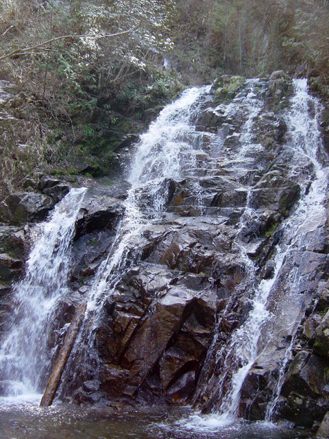 �ؑ]�X�ѓS����������� �ѓS �p���� �M���򋴗� �M����̑� �O�K�� ���ꑺ