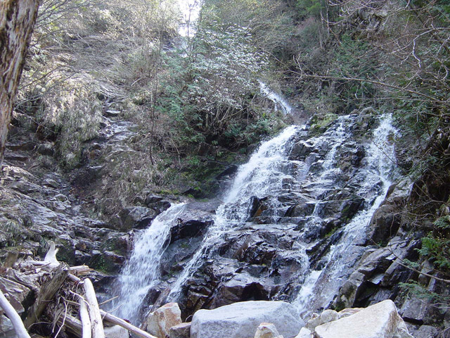 �ؑ]�X�ѓS����������� �ѓS �p���� �M���򋴗� �M����̑� �O�K�� ���ꑺ