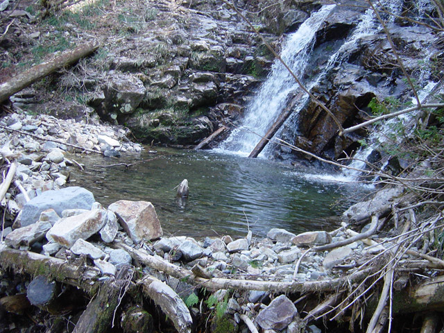 �ؑ]�X�ѓS����������� �ѓS �p���� �M���򋴗� �M����̑� �O�K�� ���ꑺ