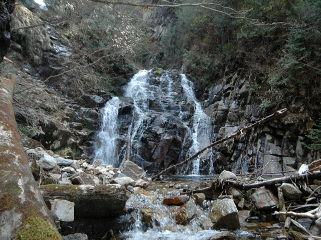 �ؑ]�X�ѓS����������� �ѓS �p���� �M���򋴗� �M����̑� �O�K�� ���ꑺ