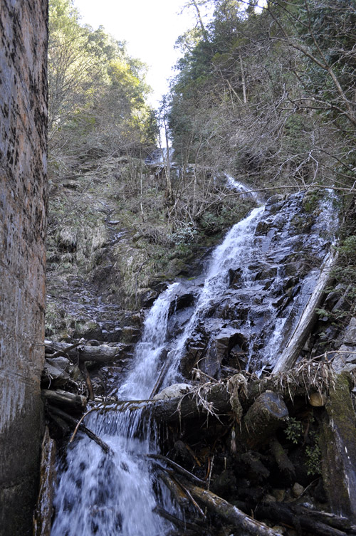 �ؑ]�X�ѓS����������� �ѓS �p���� �M���򋴗� �M����̑� �O�K�� ���ꑺ