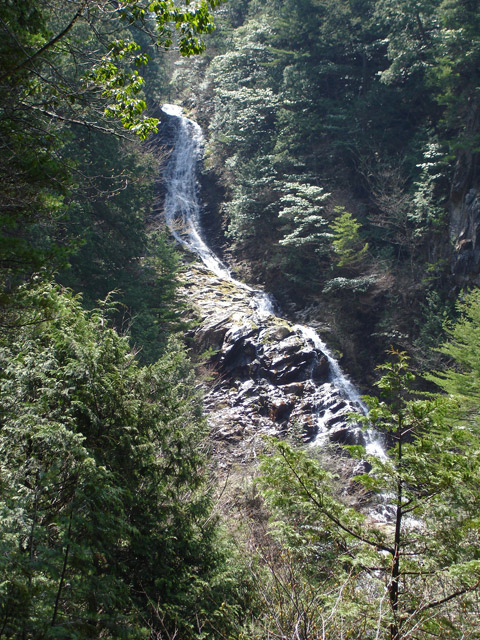 �ؑ]�X�ѓS����������� �ѓS �p���� �M���򋴗� �M����̑� �O�K�� �i���n