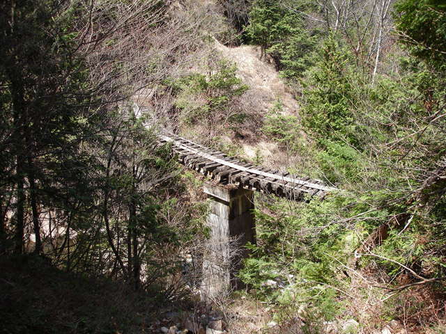 ��������X�ѓS�� �ѓS �p���� �M���򋴗� �ؑ] �M����̑� �O�K��