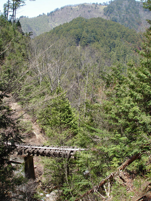 ��������X�ѓS��,�ѓS,�p����,�K����,���ꑺ,�؍މ^���O����