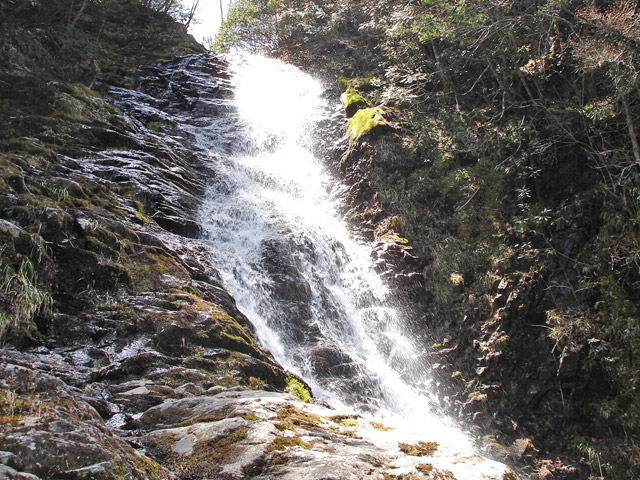 ��������X�ѓS�� �ѓS �p���� �M���򋴗� ������ �M����̑� �O�K��