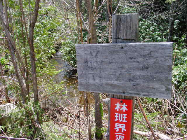 ��������X�ѓS�� �ѓS �p���� �M���� ���ꑺ �ѓ� �єǊE