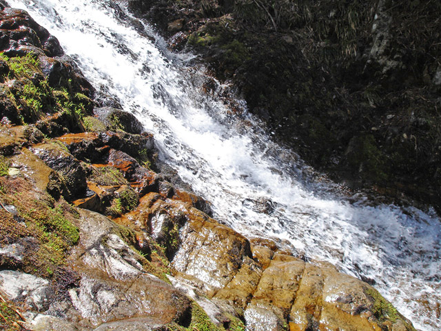 ��������X�ѓS�� �ѓS �p���� �M���򋴗� �ꉮ ���ꑺ �O�K��