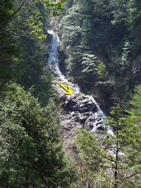 �ؑ]�X�ѓS����������� �ѓS �p���� �M���򋴗� �M����̑� �O�K�� ���ꑺ