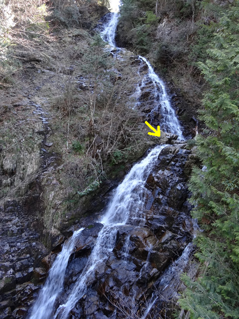 ��������X�ѓS�� �ѓS �p���� �M���򋴗� �e�z �O���� �O�K��