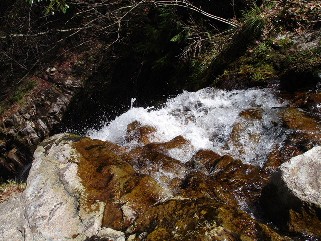 �ؑ]�X�ѓS����������� �ѓS �p���� �M���򋴗� �M����̑� �O�K�� ������