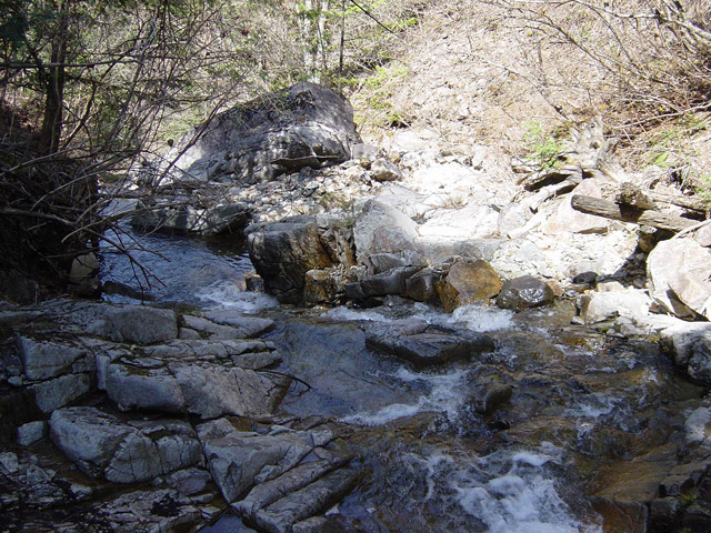 �ؑ]�X�ѓS����������� �ѓS �p���� �M���򋴗� �k�� ���ꑺ ���L��