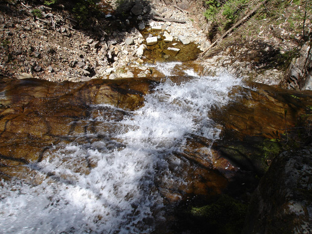 ��������X�ѓS�� �ѓS �p���� �M�P�򋴗� ���ꑺ ���e �M�P��