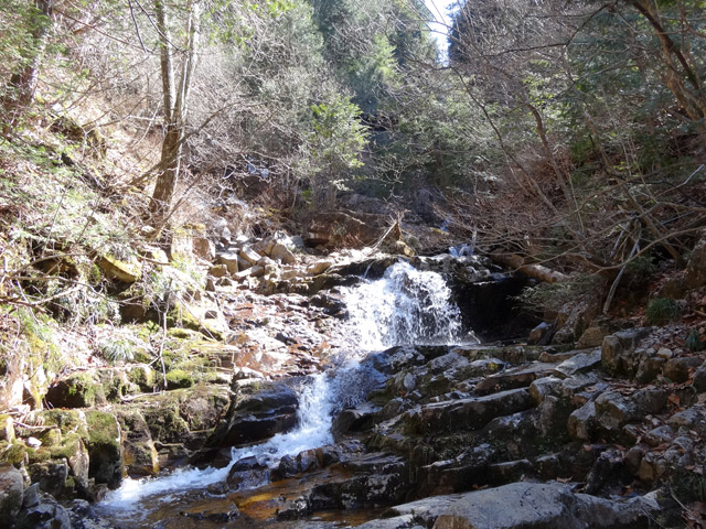 �ؑ]�X�ѓS����������� �ѓS �p���� �M�P�򋴗� ���ꑺ �k�� �M�P��