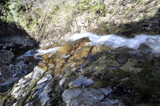 ��������X�ѓS�� �ѓS �p���� �M�P�򋴗� ���ꑺ �򉺂� �M�P��@�L���j�I�j���O