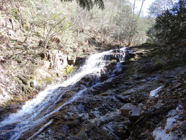 ��������X�ѓS�� �ѓS �p���� �M�P�򋴗� ���ꑺ �򉺂� �M�P�� �O����