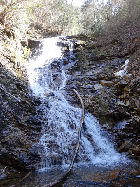 ��������X�ѓS�� �ѓS �p���� �M�P�򋴗� ���ꑺ ���e �M�P��