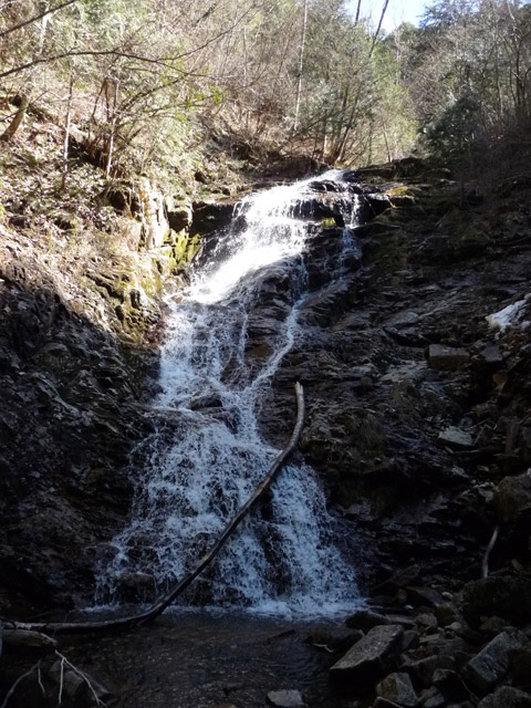 ��������X�ѓS�� �ѓS �p���� �M�P�� �ؑ] �L���j�I�j���O �M�P��