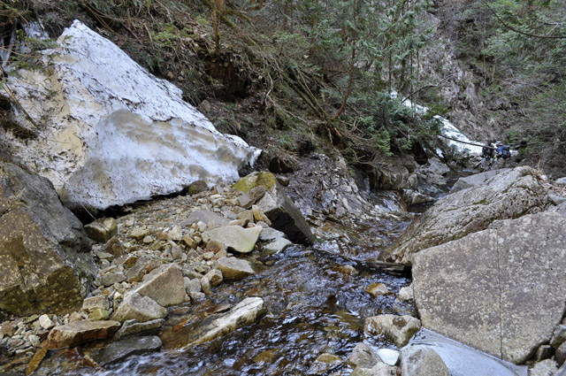 ��������X�ѓS�� �ѓS �p���� �M�P�� �ؑ] �L���j�I�j���O �򉺂�