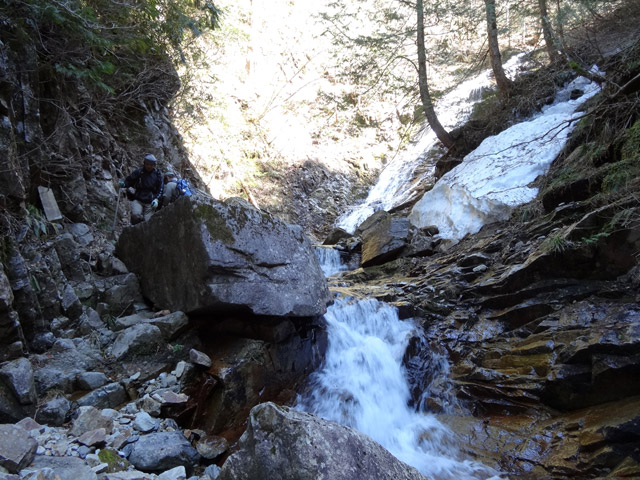 ��������X�ѓS�� �ѓS �p���� �M�P�� ���ꑺ �k�� �򉺂�