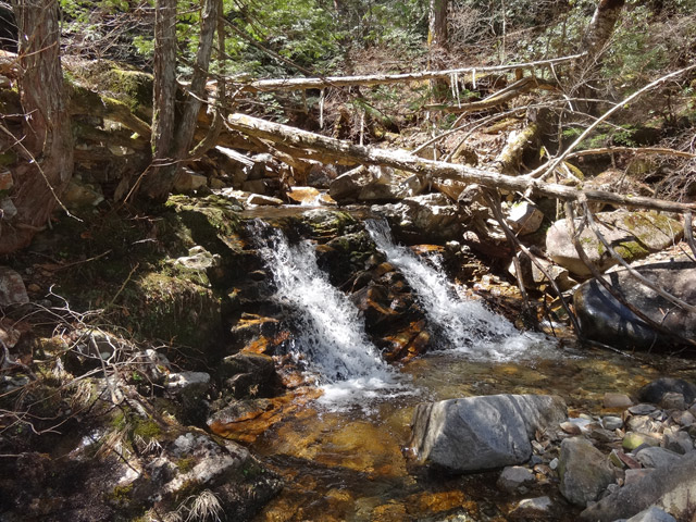 �ؑ]�X�ѓS����������� �ѓS �p���� �M�P�� ���ꑺ ��������o�� �L���j�I�j���O