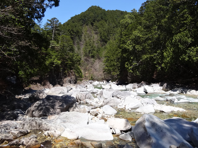 ��������X�ѓS�� �ѓS �p���� �M�P�� ���ꑺ �������� �I�X�̐X