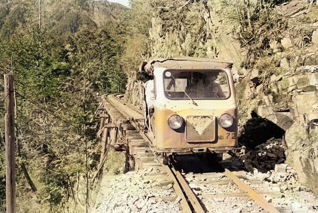 ��������X�ѓS��,�ѓS,�F�Â�,�V��,�؋�,�؍މ^���O����,���[�^�[�J�[