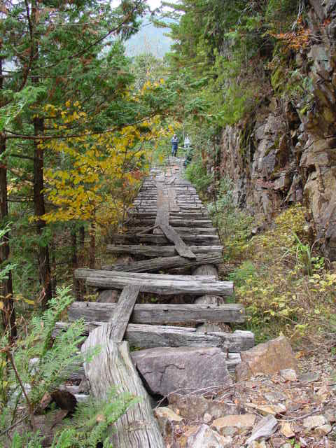 ��������X�ѓS��,�ѓS,�p����,�V��,�؋�,�c�я��O����,�ؑ]