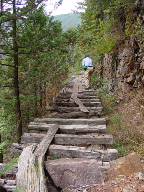 ��������X�ѓS��,�ѓS,�p����,�V��,�؋�,�c�я��O����,��_�ϑ�