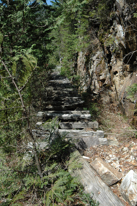 ��������X�ѓS��,�ѓS,�p����,�V��,�؋�,�c�я��O����,��r�ʐ^