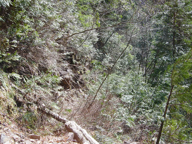 ��������X�ѓS��,�ѓS,�p����,�V��,�؋�,�i���[�O����,�ؑ]