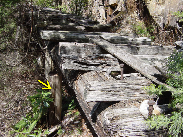 �ؑ]�X�ѓS�����������,�ѓS,�p����,�V��,�؋�,�i���[�O����,���r