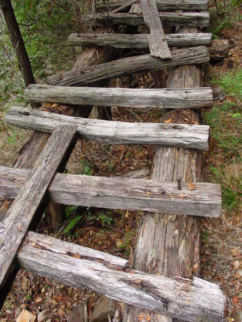 �ؑ]�X�ѓS�����������,�ѓS,�p����,�V��,�؋�,�i���[�O����,����