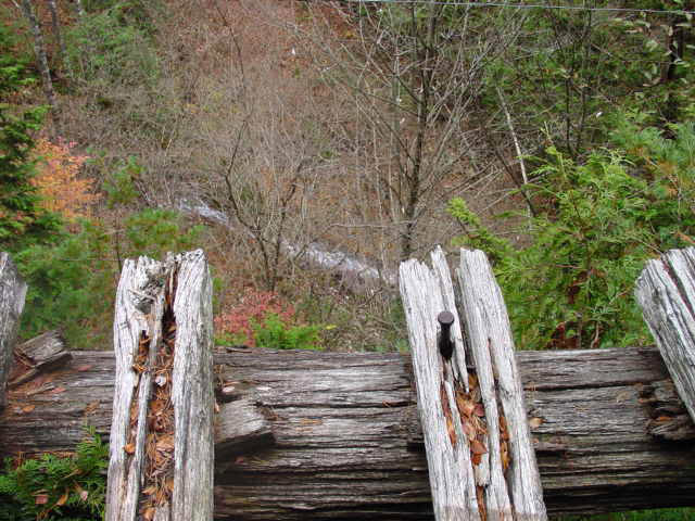 �ؑ]�X�ѓS�����������,�ѓS,�p����,�V��,�؋�,�i���[�Q�[�W,����c�я�