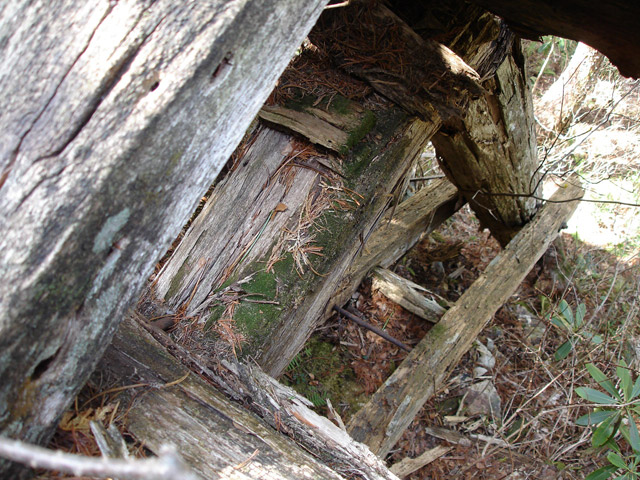 �ؑ]�X�ѓS�����������,�ѓS,�p����,�V��,�؋�,2�t�B�[�g6�C���`,���r