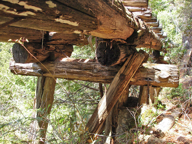 �ؑ]�X�ѓS�����������,�ѓS,�p����,�V��,�؋�,�i���[�Q�[�W,����