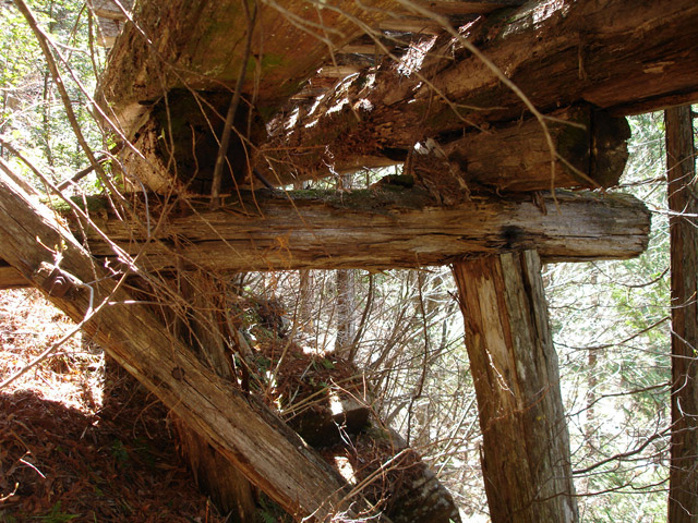 �ؑ]�X�ѓS�����������,�ѓS,�p����,�V��,�؋�,�i���[�Q�[�W,���r