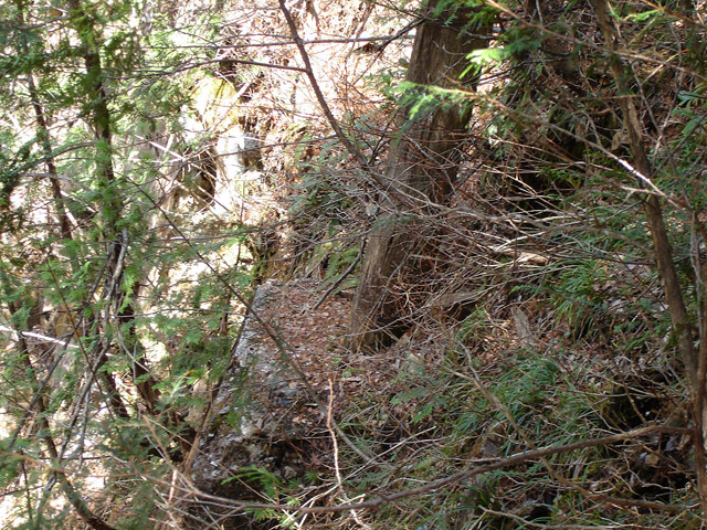 �ؑ]�X�ѓS�����������,�ѓS,�p����,�V��,�؋�,�i���[�Q�[�W,�y��