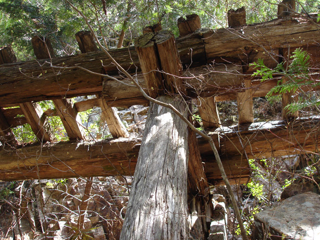 �ؑ]�X�ѓS�����������,�ѓS,�p����,�V��,�؋�,�i���[�Q�[�W,�ؑ]