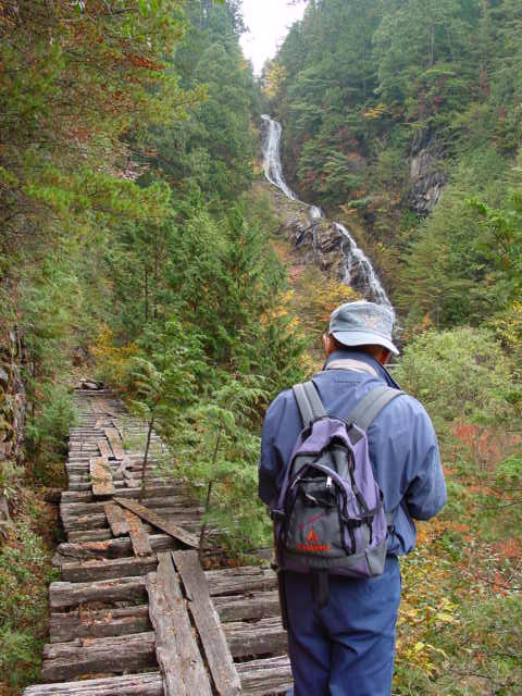 �ؑ]�X�ѓS�����������,�ѓS,�p����,�V��,�؋�,�O�Y�F�V,�O�K��