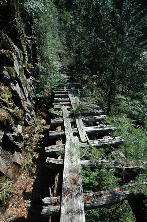 �ؑ]�X�ѓS����������� �ѓS �p���� �M���򋴗� ����c�я� �؍މ^���O����