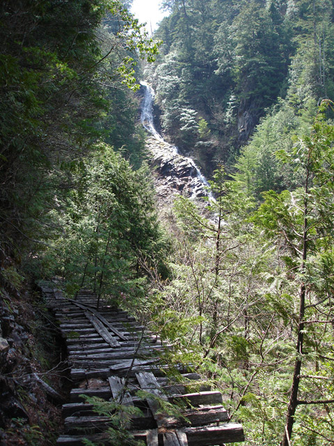 ��������X�ѓS��,�ѓS,�p����,���̎ʐ^,�V��,�؍މ^���O����,�M�P��,�O�K��