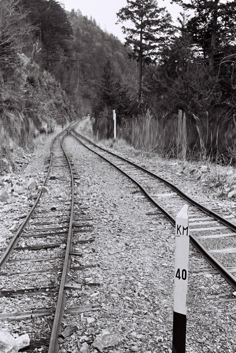 �֐��d�͎O�Y�_����p��,����X�ѓS������,�ѓS,�L���|�X�g