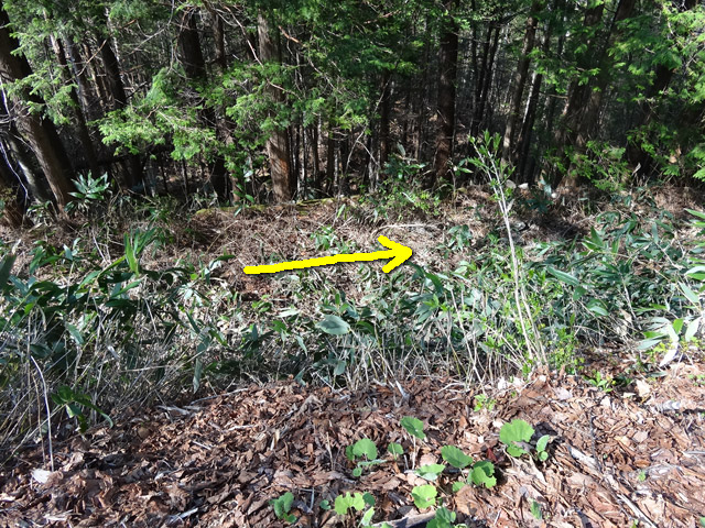 �֐��d�͎O�Y�_����p��,����X�ѓS������,�ѓS,�p����