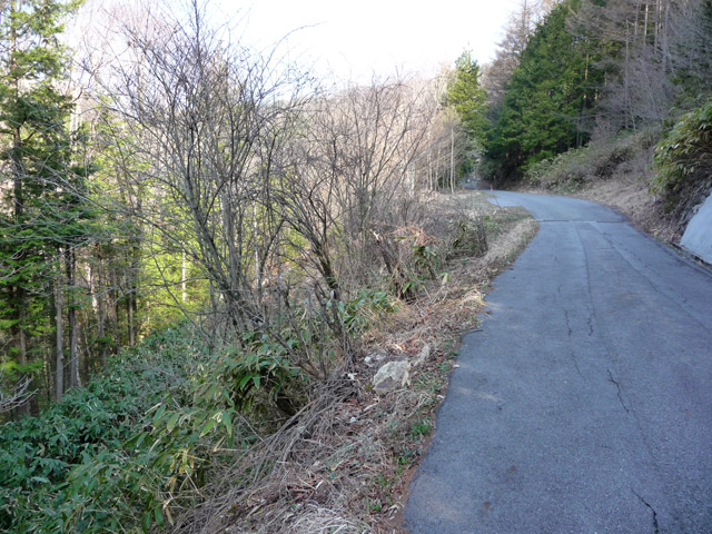 �֐��d�͎O�Y�_����p��,����X�ѓS������,�ѓS,�p����