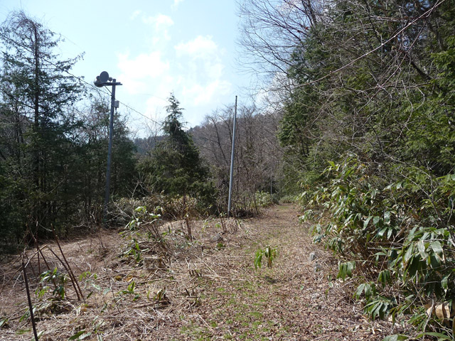 �֐��d�͎O�Y�_����p��,����X�ѓS������,�ѓS,�p����